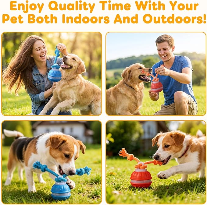 Interactive Dog Toys,Upgraded Motion Activated Rolling Dog Ball Toy for Small/Medium Dogs,Smart Automatic Rolling Toy with USB Rechargeable,Interactive Dog Balls(Orange)