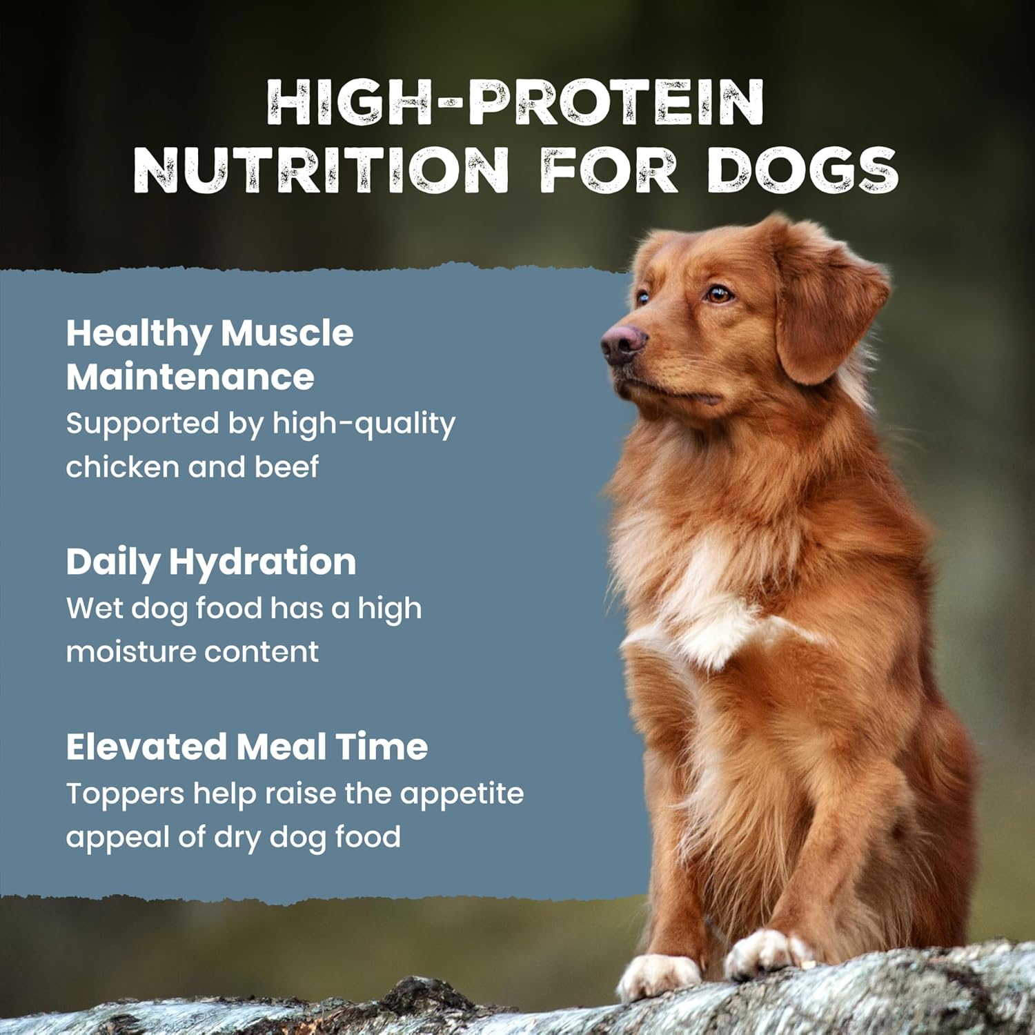 Blue Buffalo Wilderness Trail Toppers Variety Pack Wet Dog Food 3 oz, 12 ct | High Protein, Chicken Bites & Beef Bites (6 of Each), Grain-Free Recipes, Helps Support Daily Hydration