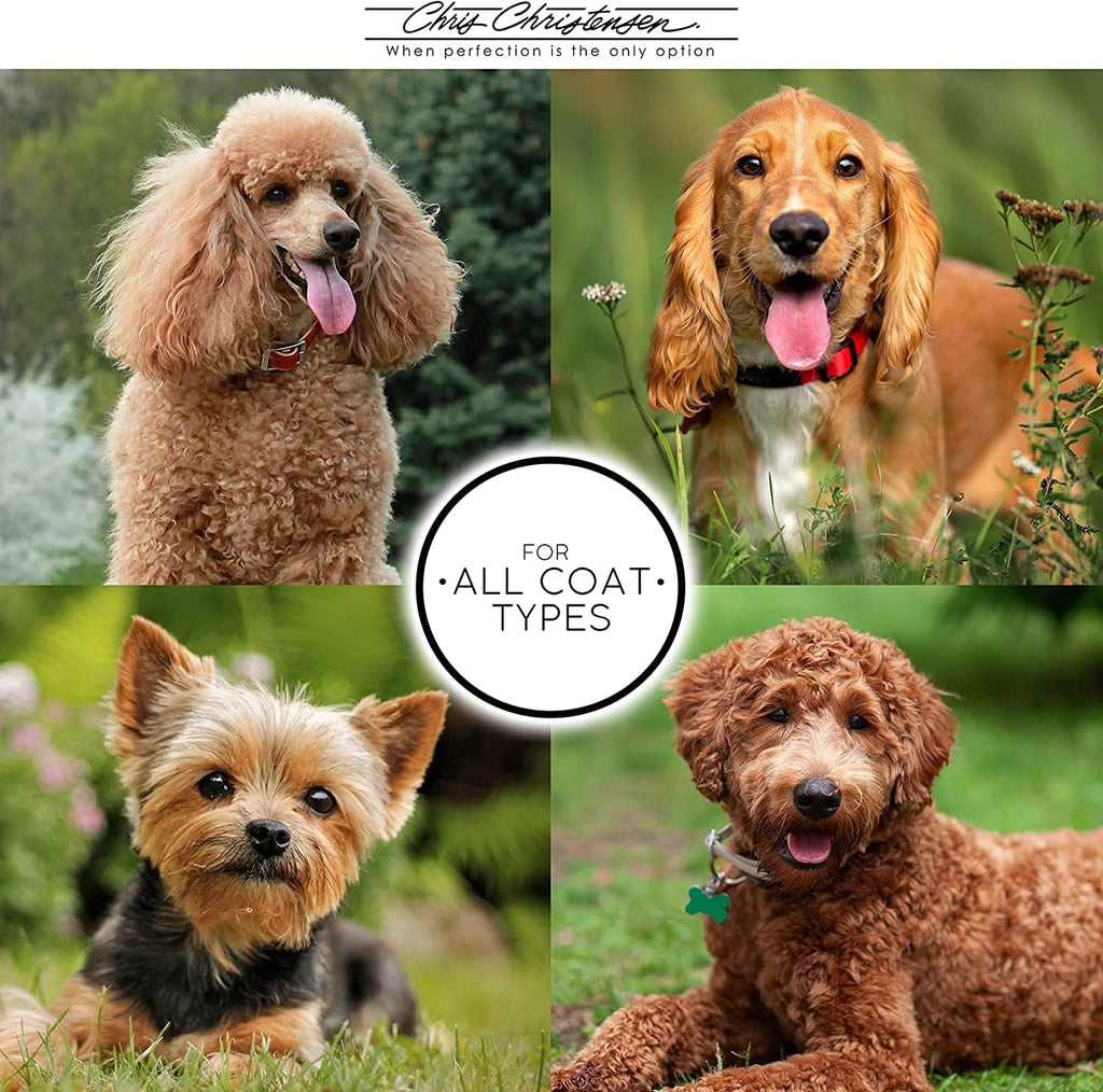 Chris Christensen Day to Day Ultra Concentrated Dog Conditioner, Makes up to 8 Bottles, Groom Like a Professional, Moisturizing, All Coat Types, for Daily Use, Made in USA, 16oz
