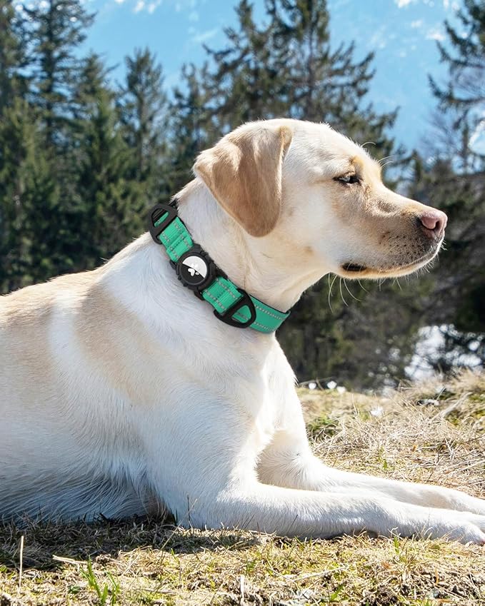 Joytale Airtag Dog Collar, Reflective Pet Collar with Waterproof AirTag Holder, Dual D-Rings, Soft Padded Adjustable for Extra Large Dogs, Teal, XL