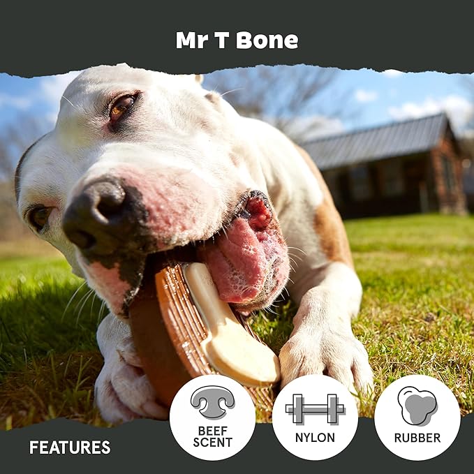 Barkbox Super Chewer Tough Dog Chew Toys for Aggressive Chewers, Dental Stimulating (T Bone - Large)