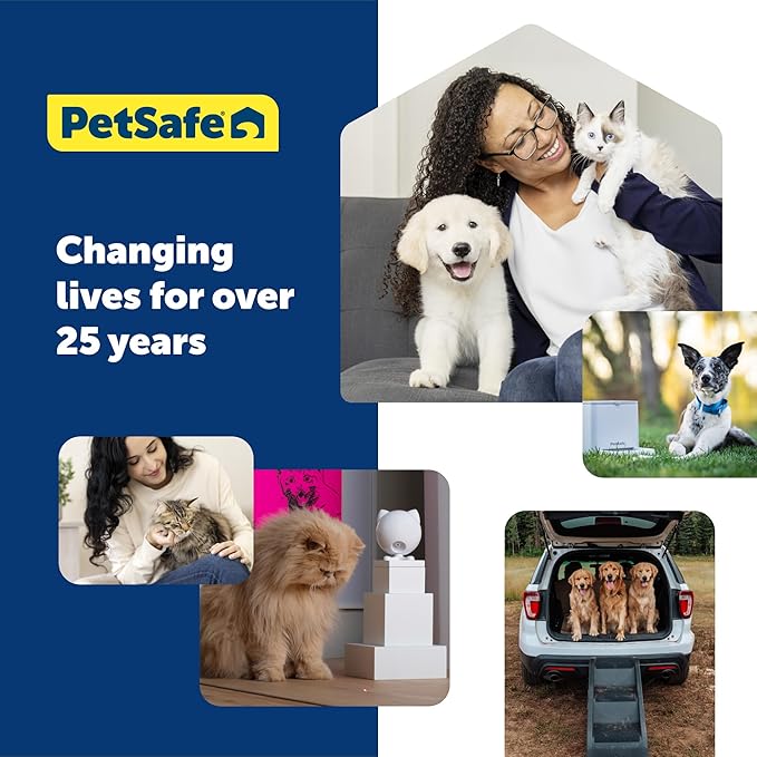 PetSafe KeepSafe Collar for Dogs - Protects Against Collar Accidents - Long Lasting - Durable - Adjustable - Breakaway - Outdoor-Safe - Medium - 1 In. Wide - Red
