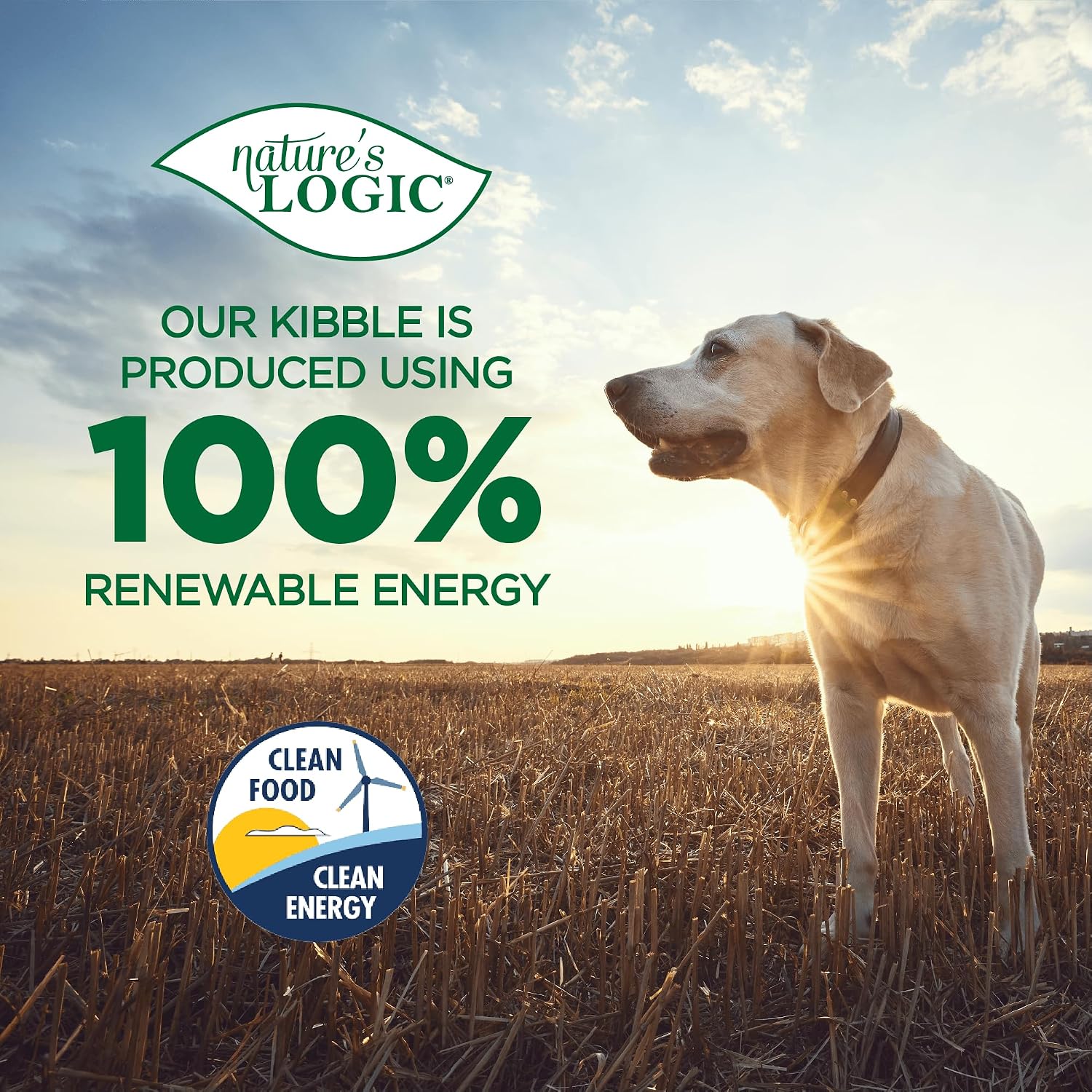 NATURE'S LOGIC Dehydrated Chicken Bone Broth Powder - Dog & Cat Topper, 6oz | 100% natural dog & cat topper, Rich in glucosamine & chondroitin, Boosts immune system, Gluten-free, No synthetic ingredients