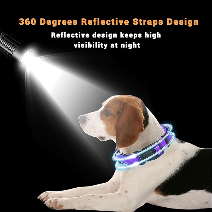 2 Pack Reflective Dog Collar with Safety Locking Buckle, Adjustable Soft Breathable Comfortable Nylon Pet Collar for Small, Medium and Large Dogs, Purple, S