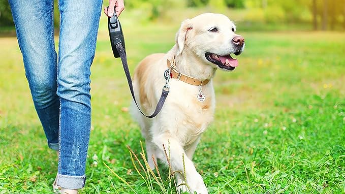 Service Dog Tag Double Sided with Federal Protection & Red Medical Alert Symbol | 1.25 Inch Durable Pet ID Tags | Easily Attach to Collar, Harness, Vest | Service Dog Identification Tag
