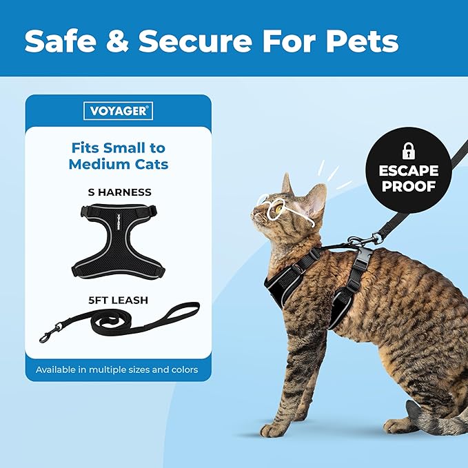 Voyager Escape-Proof Step-in Lock Cat Harness & 5ft Neoprene-Handle Leash Set All-Weather Mesh with Reflective Stitching for Small to Large Cats by Best Pet Supplies, Black (327), S