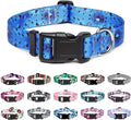 Mercano Adjustable Dog Collar - Special Design Patterns, Soft Nylon Comfortable Durable Pet Collar for Small Medium Large Dogs (XS, Blue Ocean)