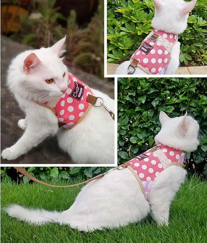 Cat Harness and Leash for Walking Escape Proof, Adjustable Cat Vest Harness, Padded Stylish Cat Walking Jackets, Polka Dot Pink, XX-Large