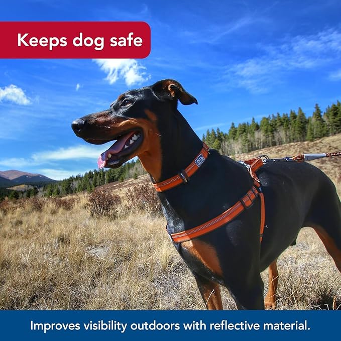 Coastal Pet K9 Explorer Reflective Adjustable Padded Dog Harness - Plush Chest Pad for Comfort - No-Pull Dog Harness for Small and Large Dogs - Campfire Orange - 1" x 20"-30", Medium