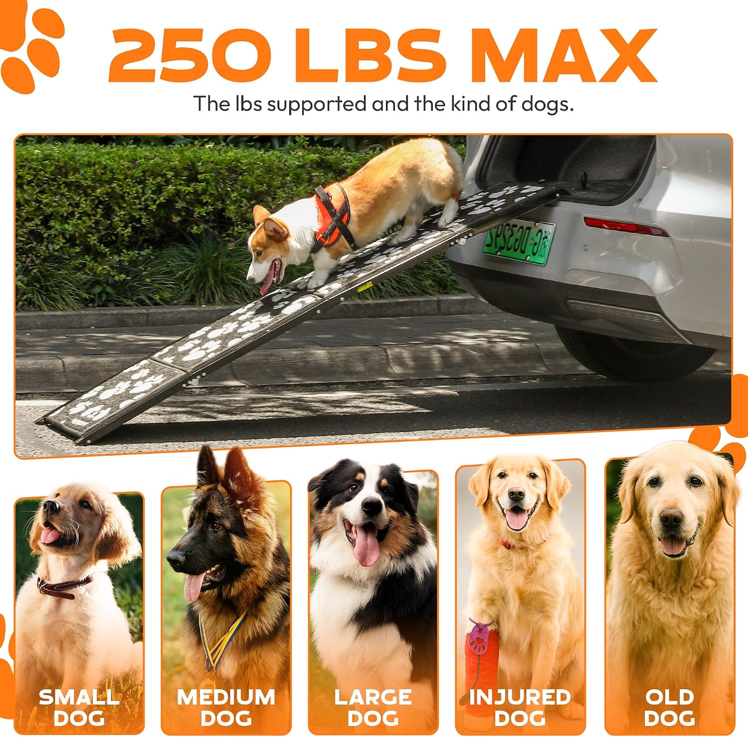Upgraded Dog Ramp for Car 71"x17.2" Wide Portable Folding Pet Ramp with Non-Slip Surface. Extra Wide Portable Ramp for Large, Small & Senior Dogs to Get in Cars, SUVs, Trucks & Beds, Up to 250LBS