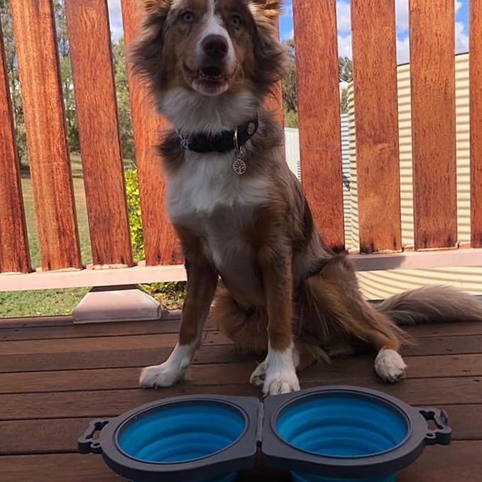Loving Pets 73807991: Travel Double Diner Dog Bowl, Blue Sm