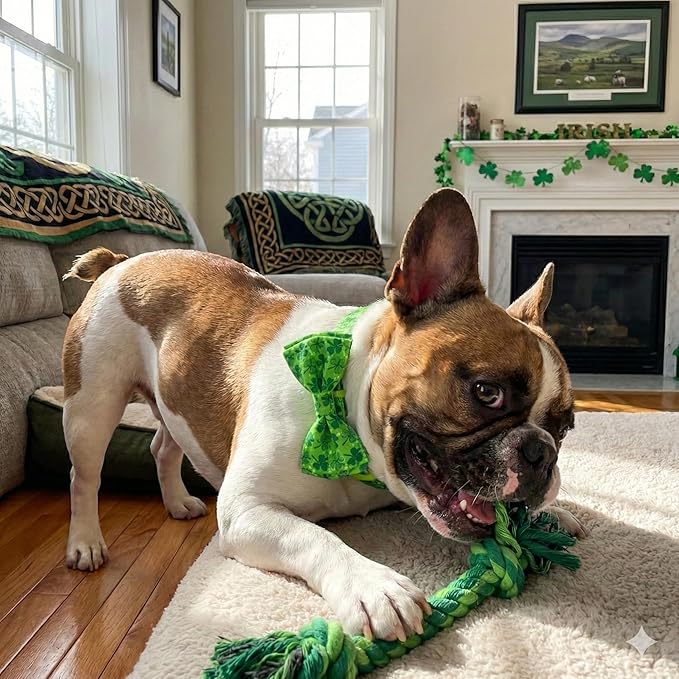St. Patrick's Day Dog Collar with Bow Tie Set, Green Shamrock Clover Pattern Pet Collar, Adjustable Lucky Irish Holiday Neckwear for Small, Medium, and Large Dogs