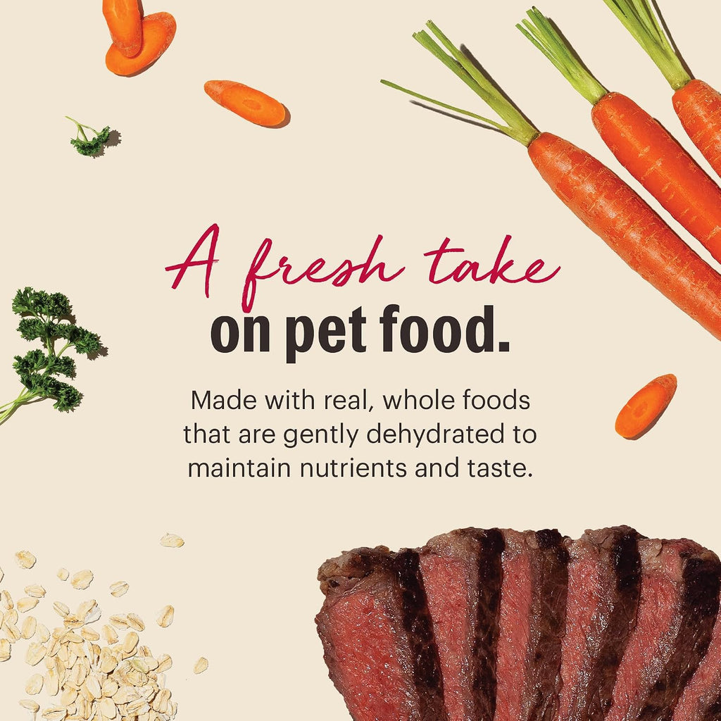 The Honest Kitchen Human Grade Wholemade™ Dehydrated Whole Grain Dog Food - Complete & Balanced Meal or Topper - Beef & Oat, 10 Pound (Makes 40 Pounds)