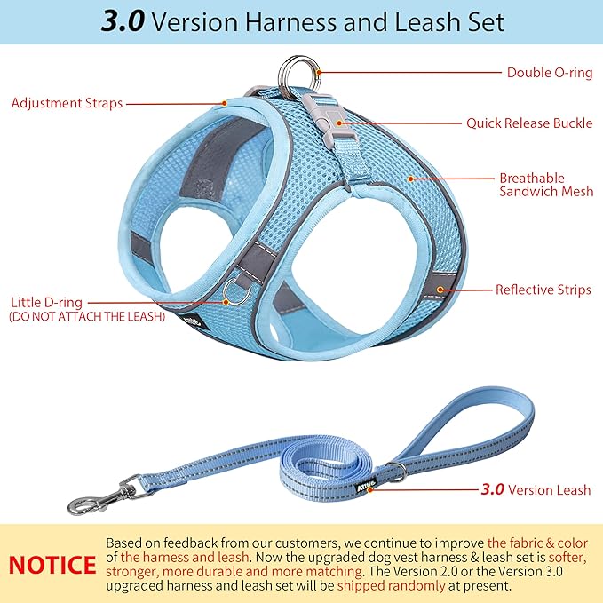 AIITLE Small Harness for Puppy with A Leash - Dog Vest Harness with Super Breathable Mesh, Reflective No-Pull Pet Harness for Outdoor Walking, Running for Small Dogs, Cats Pure Blue XXS