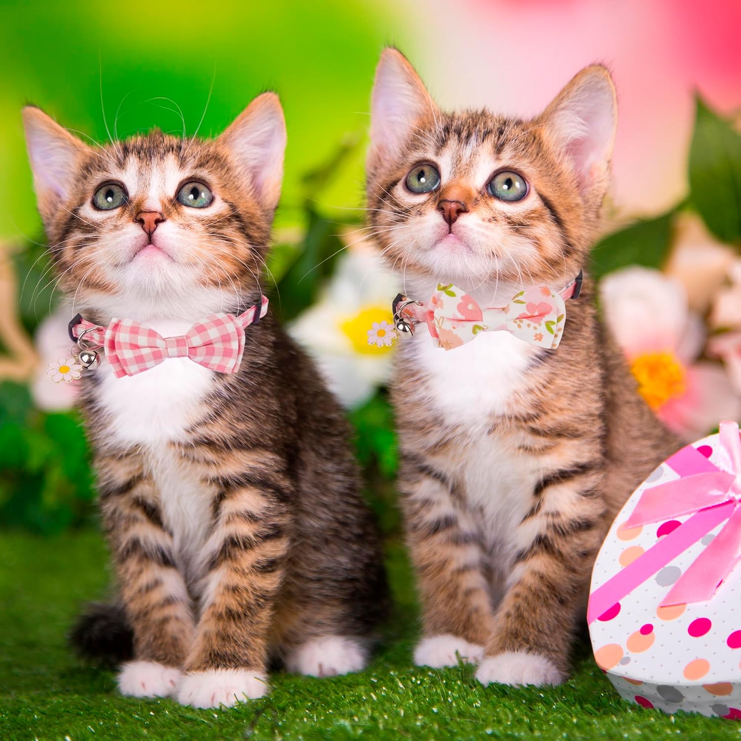 Pink Girl Cat Collar Breakaway, Plaid Floral Kitten Collar, XS | Detachable Bow Tie, Cute Floral Charm, Safe Breakaway Buckle, Adjustable, Pink Plaid & Plaid Print, for Girl Kittes
