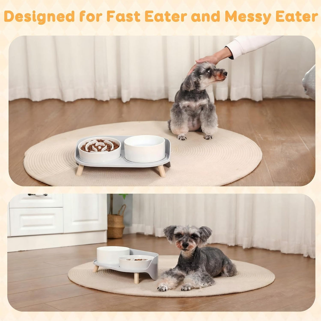 Elevated Slow Feeder Dog Bowls with Splash Proof Stand, Slow Eating 5X | 6.5″ Dog Slow Feeding Bowls & 6.1″ Dog Food Dish, Non-Slip Raised Food and Water Bowl Set for Small and Medium Breeds, White