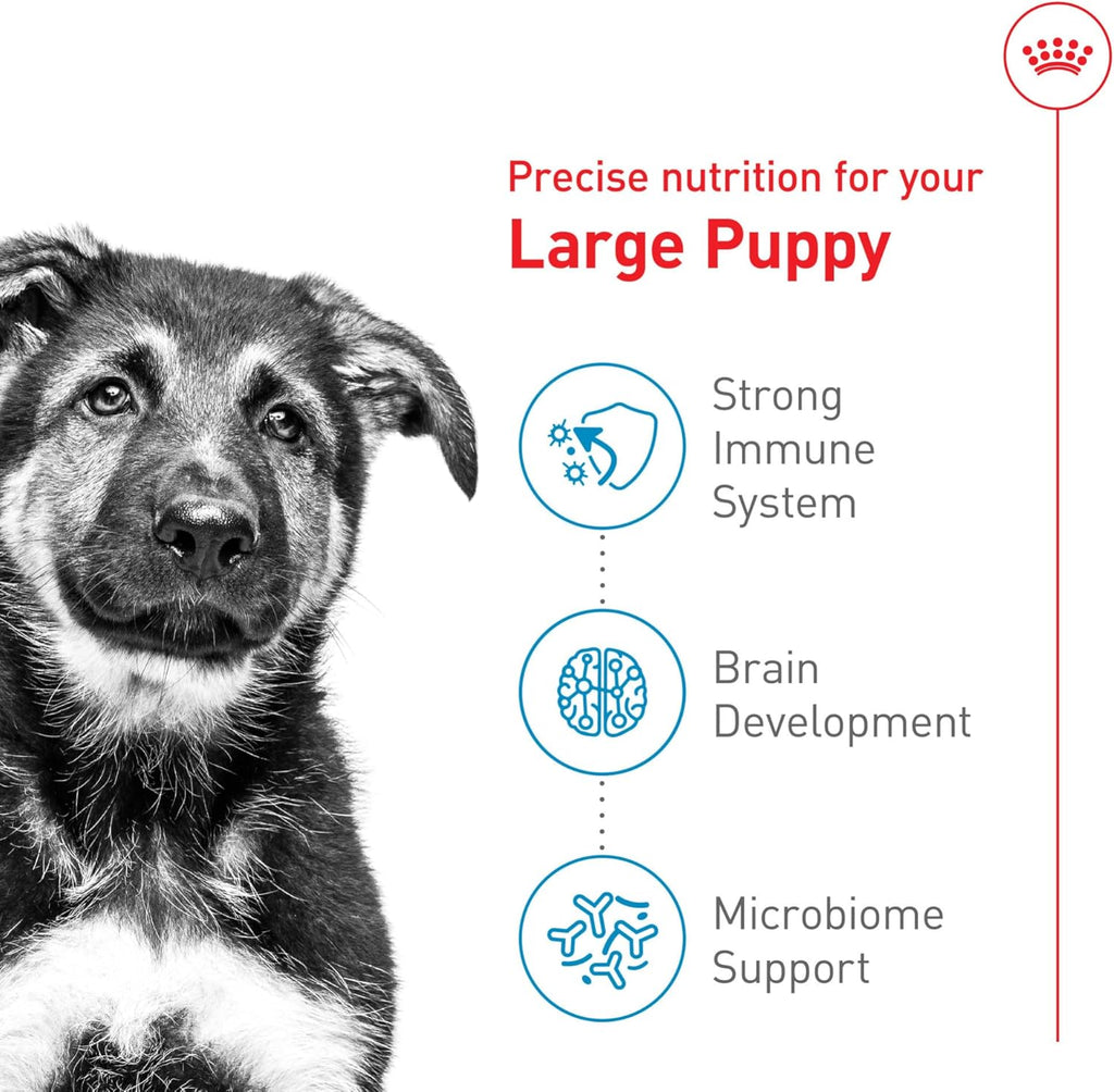Royal Canin Size Health Nutrition Large Puppy Dry Dog Food, 40 lb Bag | Tailored Nutrition for Large Breed Puppies, Supports Healthy Growth, Enriched With Antioxidants, 40 lb Resealable Bag
