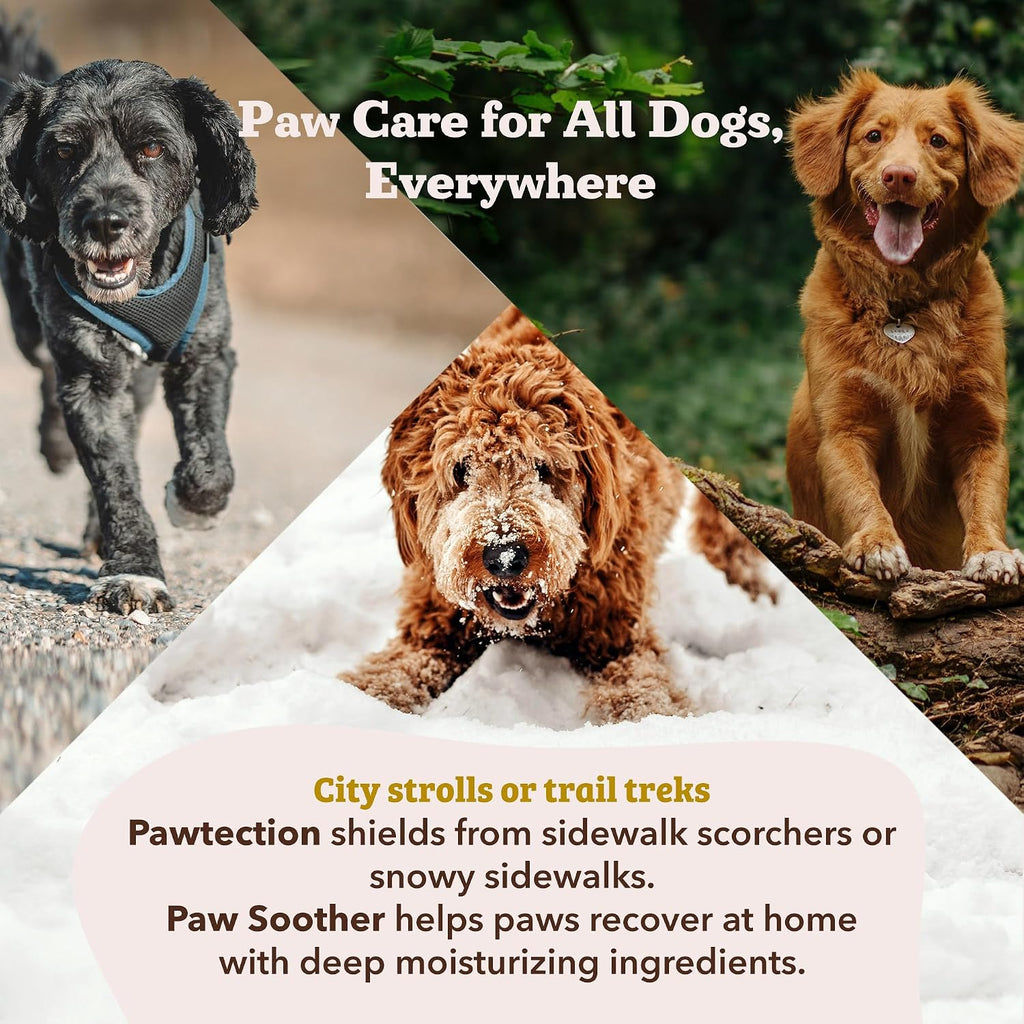 Natural Dog Company Paw Soother Balm & PawTection Stick Bundle for Dogs – Moisturizes, Heals & Protects Dry, Cracked Paws – Lick-Safe Dog Paw Balm Duo – 1 oz Tin + 0.15 oz Stick