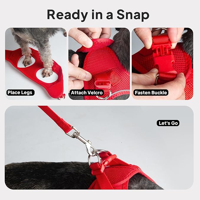 PetiFine Extra Small Step in Dog Harness and Leash Set, Cat Harness and Leash Escape Proof, All Weather Mesh Reflective, Step-in Air Vest Harnesses for Puppy(XXXS, Red)