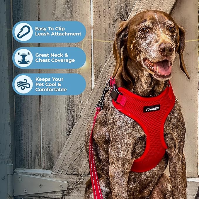 Voyager Step-in Pet Harness - All Weather Mesh, Adjustable Step in Harness for Cats and Dogs by Best Pet Supplies - Red, M