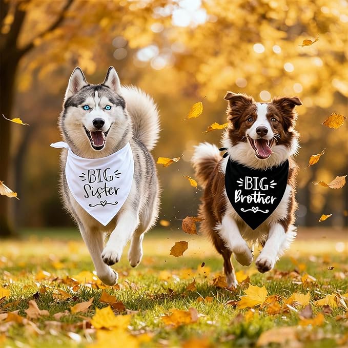 2 Pack Big Sister Big Brother Dog Bandanas, Adjustable Pet Bandana for Pregnancy Announcement, Soft Triangle Scarf for Small Medium Large Dogs, Puppy Sibling Reveal Accessories(Black&White)