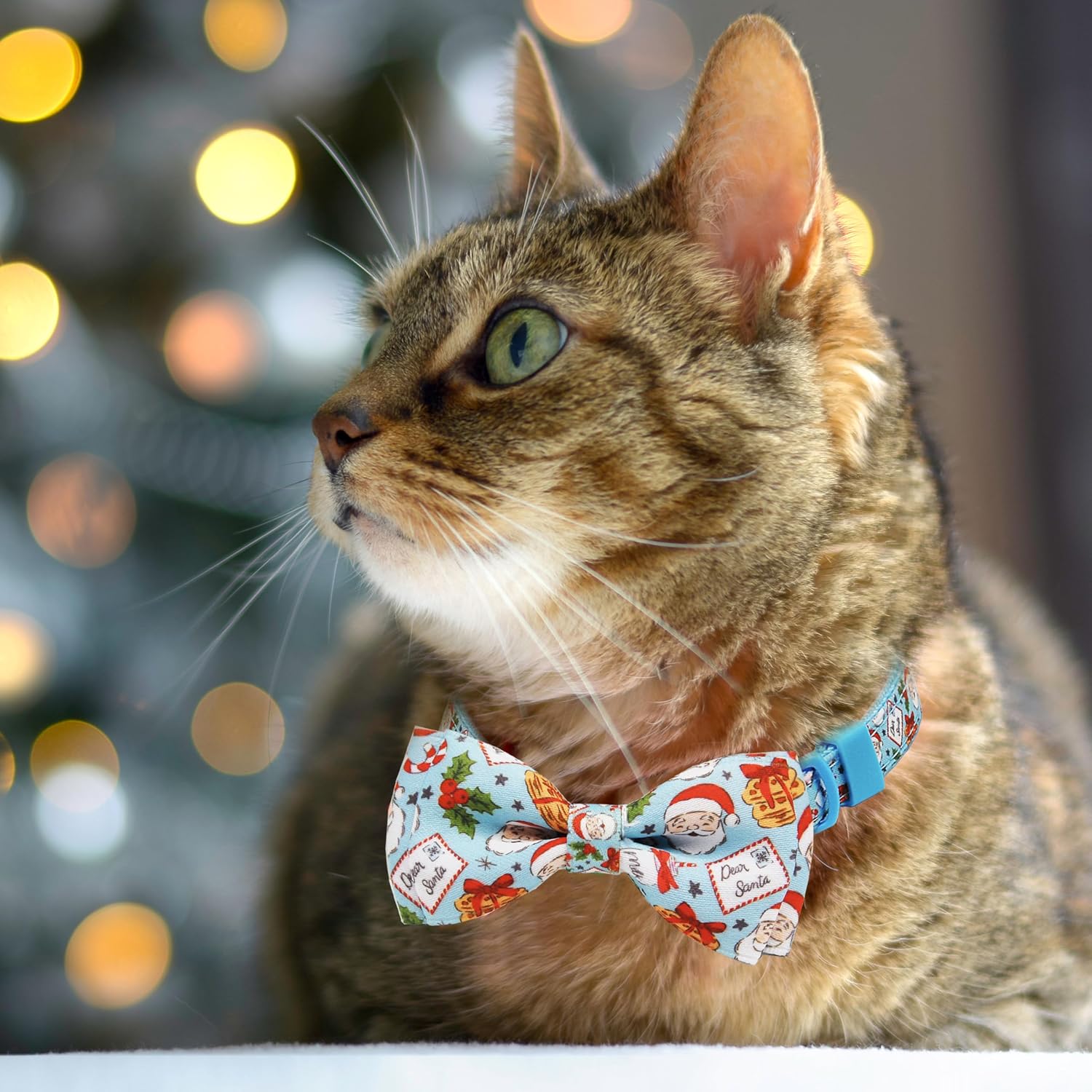 Christmas Cat Collar 2-Pack - Cute Santa & Cookies Holiday Collars with Removable Bow Tie & Bell, Adjustable Breakaway Safety Buckle for Kitties Kittens (Pink & Blue)