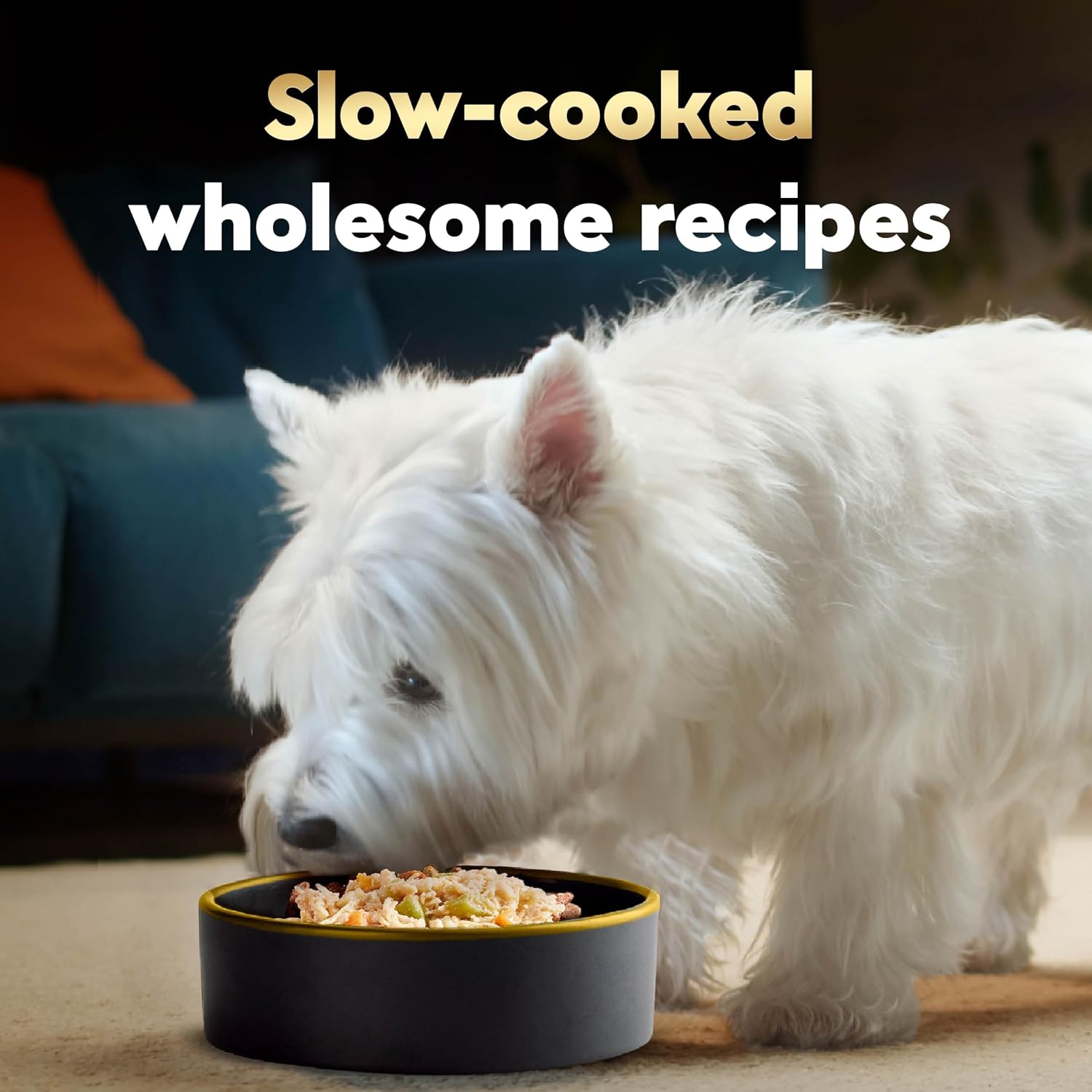 Cesar Wholesome Bowls Wet Dog Food, Chicken & Apple, 3 oz, 10 Count | Real chicken #1 ingredient, slow-cooked, 9 key ingredients, no by-products or artificial flavors, easy to digest