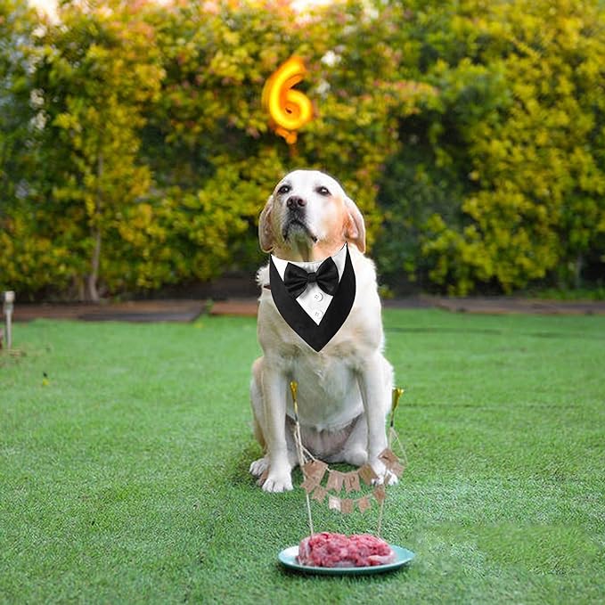 ADOGGYGO Formal Dog Tuxedo Bandana, XS, Black (Wedding, Birthday Costume)