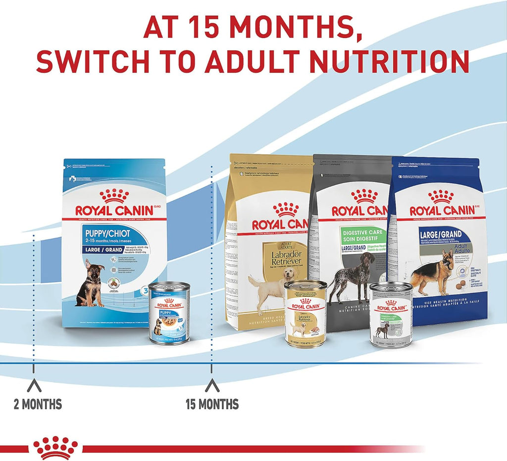 Royal Canin Size Health Nutrition Large Puppy Dry Dog Food, 40 lb Bag | Tailored Nutrition for Large Breed Puppies, Supports Healthy Growth, Enriched With Antioxidants, 40 lb Resealable Bag