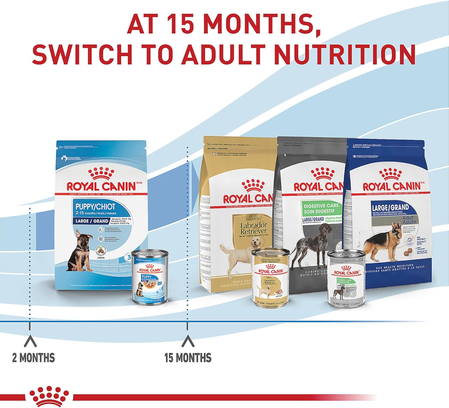 Royal Canin Size Health Nutrition Large Puppy Dry Dog Food, 40 lb Bag | Tailored Nutrition for Large Breed Puppies, Supports Healthy Growth, Enriched With Antioxidants, 40 lb Resealable Bag