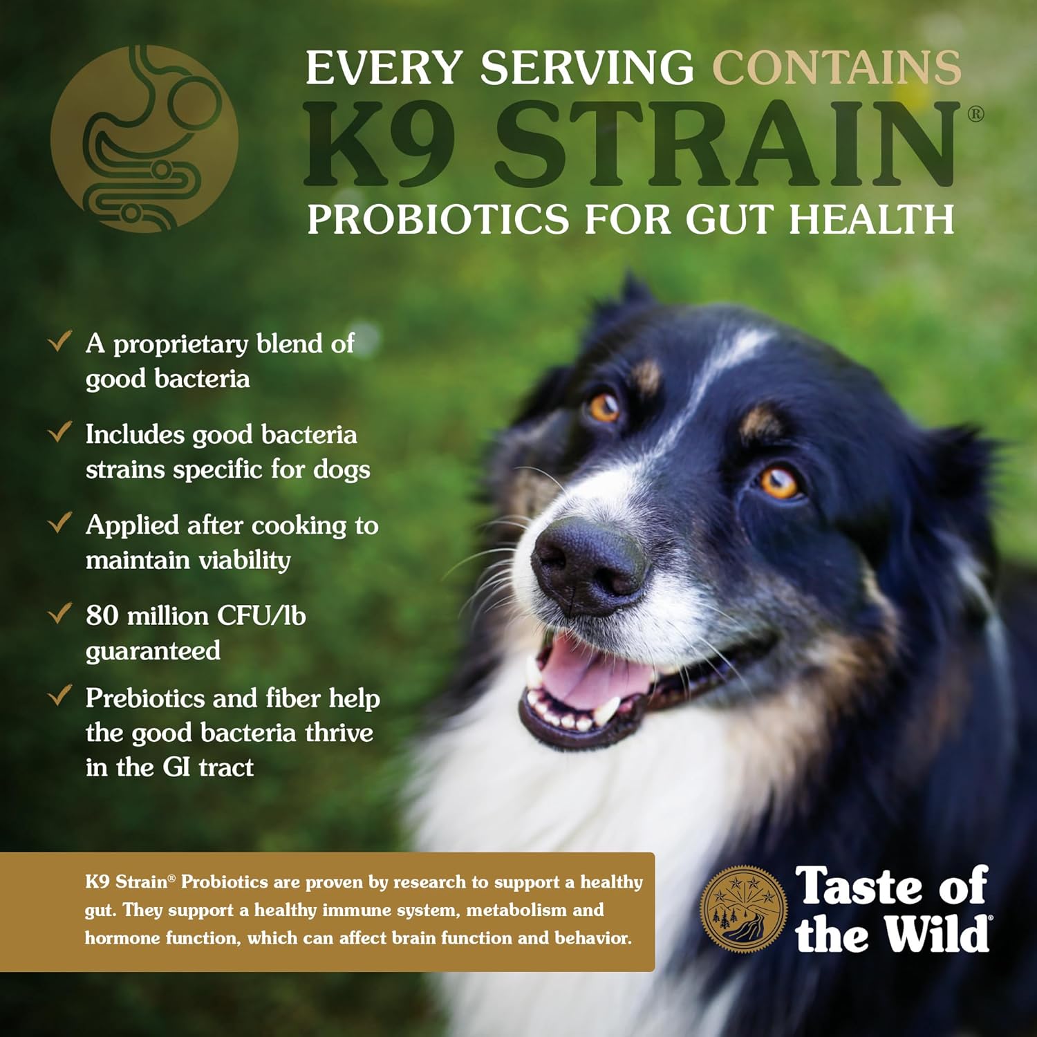 Taste of the Wild Wetlands Adult Dry Dog Food, Roasted Fowl, 28lb | High Protein |Grain Free Recipe* |Real Duck, Roasted Quail & Roasted Turkey |Nutrient Dense to Help Support Peak Health
