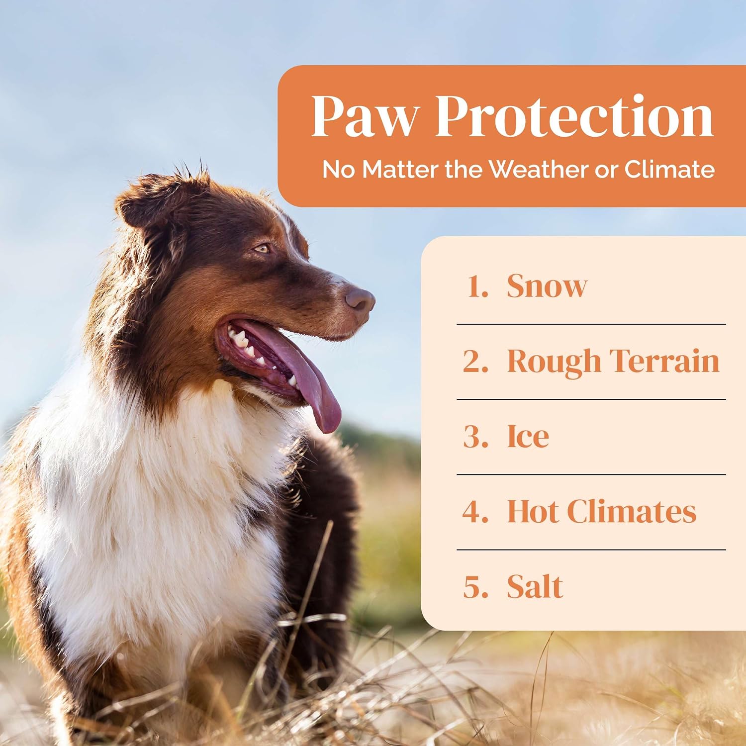 Dog Paw Balm - Paw Wax for Cracked Paws - Lick Safe - 2 oz | Lick-safe dog paw balm & wax with coconut oil, jojoba & vitamin E to soothe cracked paws & shield from hot pavement