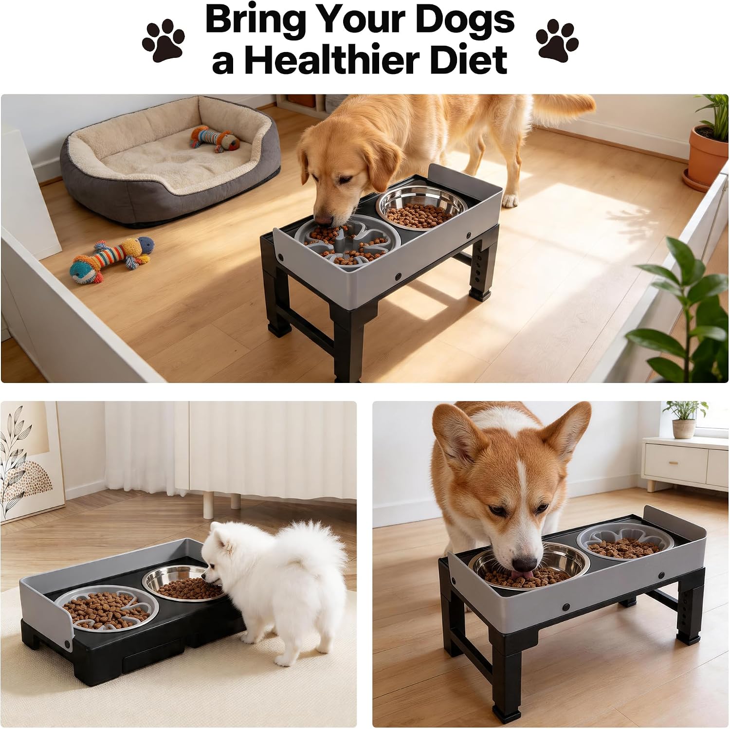 Pawise Elevated Dog Bowl Stand，Adjustable Height，Slow Feeder for Dogs | Splash proof,1 Slow Feeder Bowl， 2 stainless steel bowls, 6 heights for all dog sizes