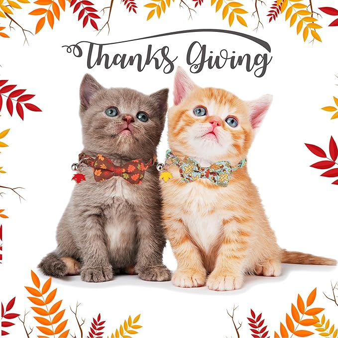 ADOGGYGO 2 Pack Fall Cat Collar with Removable Bow Bell, Brown Green, Halloween Thanksgiving Fall Collars for Cat Kitten