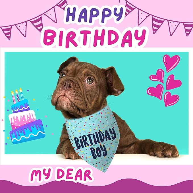 Birthday Boy Dog Bandanas 1 Pack, Blue Birthday Dog Scarfs, HBD Pet Scarves for Birthday Boy Party Bandanas for Medium and Large Dogs (Blue, Large)