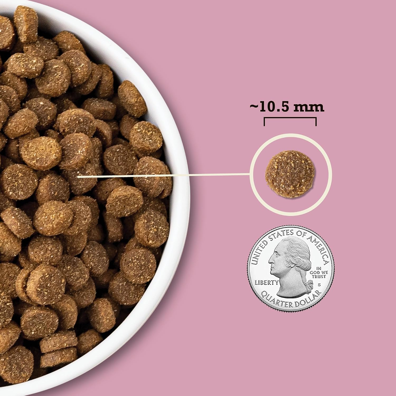 ACANA Dry Dog Food Small Breed Recipe Real Chicken Eggs, 11.5lb Bag | Made in the USA, Includes Probiotics, Omega-3 Fatty Acids, Free-Run Poultry, Small Breed Dogs, Global Quality Ingredients