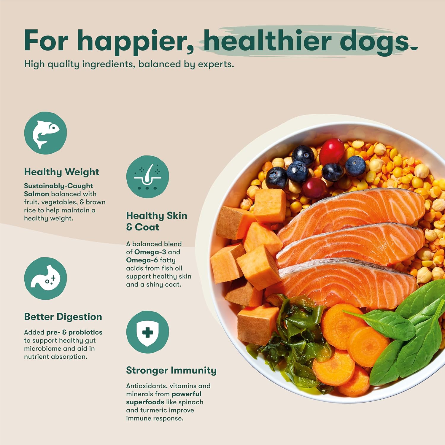 Jinx Grain Free Dry Dog Food - Real Salmon, Sweet Potato & Carrot, 30lb | Premium Kibble for Digestive Support & Healthy Immunity - No Fillers, All Lifestages (Puppy, Adult & Senior), Breeds & Sizes