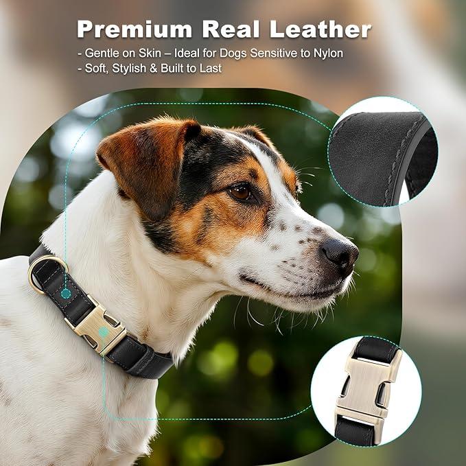 Plutus Pet Genuine Leather Dog Collar – Adjustable Pet Collar with Quick Release Metal Buckle, Soft Real Leather for Small Medium Large Dogs, Heavy Duty & Skin-Friendly (Black, XS)