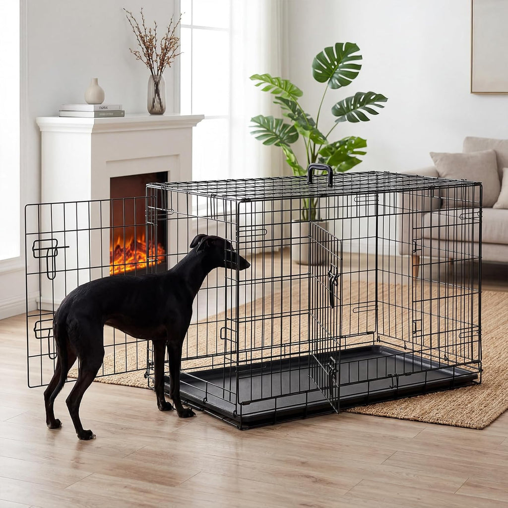 DUMOS 36 Inch Dog Crate, Foldable Small Medium Dog Cage Pet Kennel | Double Door Metal Wire, Plastic Leak-Proof Pan Tray, Portable Indoor Outdoor Training Travel