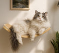 Wood Cat Wall Bed with Sisal Mat – Curved Cats Shelf for Scratching and Sleeping, Wall Mounted Cat Furniture for Large Cats