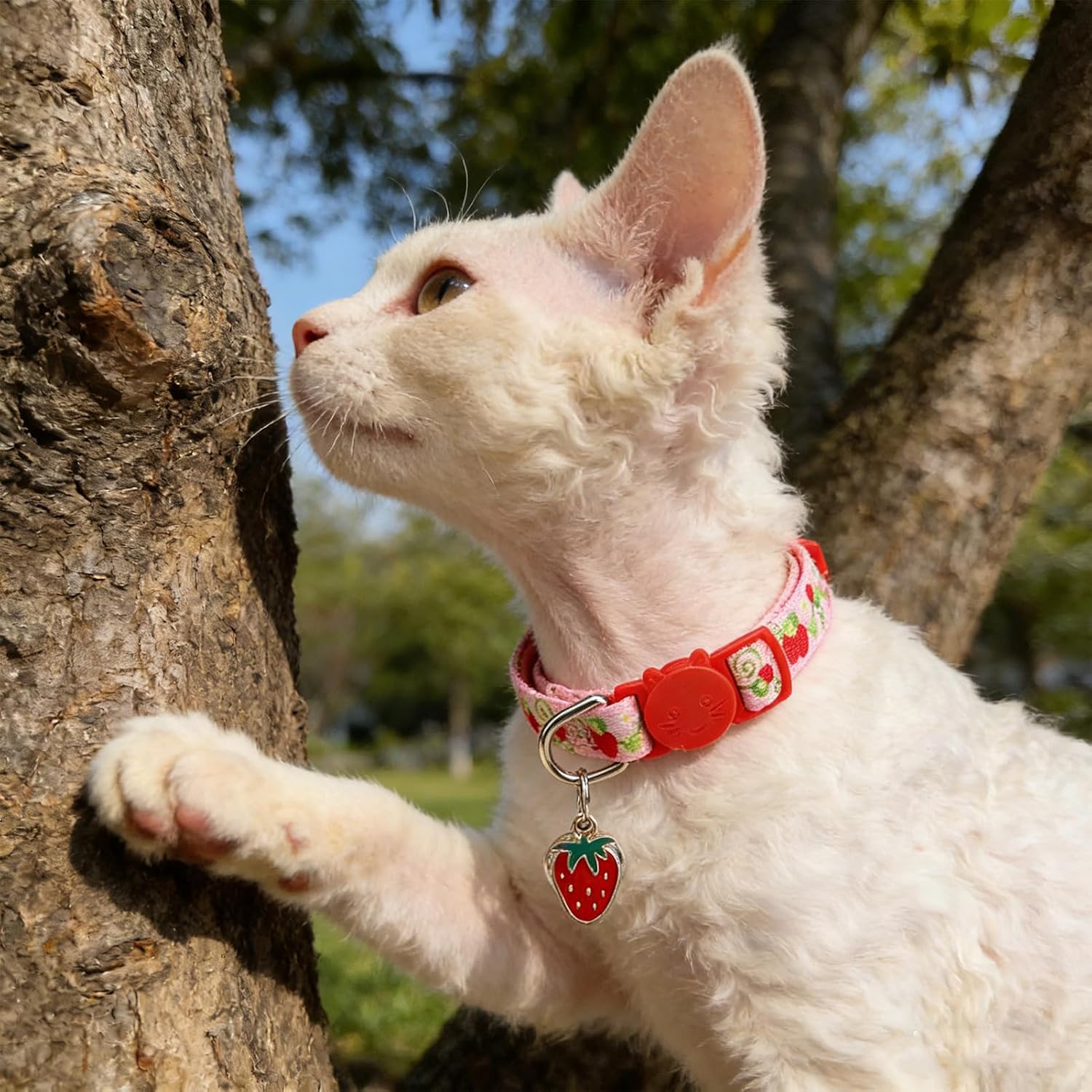 Flower Cat Collar Breakaway with Bells 3 Pack, Adjustable Soft Cute Cat Collars with Fruit Pendant for Spring Summer, Safe Floral Kitten Collar for Girl Boy Cats Pet Decoration Accessories