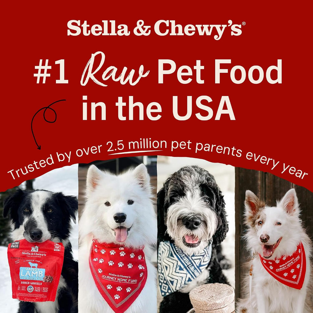 Stella & Chewy's Freeze-Dried Raw Dinner Patties - Turkey Recipe - High Protein Grain-Free Puppy & Dog Food - Perfect For Picky Eaters - 14 oz