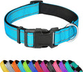 Reflective Dog Collar, Adjustable Soft Neoprene Padded Nylon Pet Collars with Buckle for Medium Dogs, Sky Blue,M