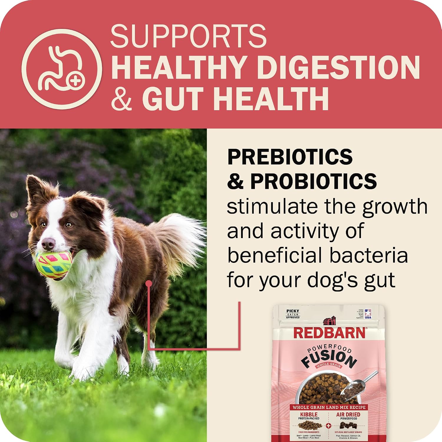 Redbarn Powerfood Fusion Air Dried Kibble Blend – Whole Grain Land Beef Lamb Recipe – Made in USA Adult Dry Dog Food with Superfoods, Prebiotics, Postbiotics - 3.5lb Bag (Pack of 2)