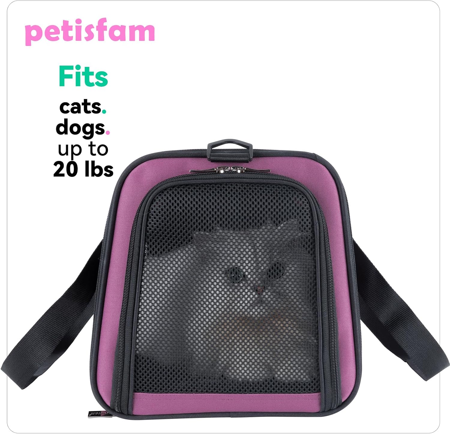 Easy Load Pet Carrier for Medium Cats and Small Dogs