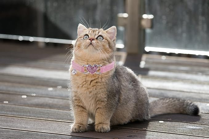 Heart Bling Cat Collar with Safety Belt and Bell Adjustable 8-10 inches for Kitten Cats (Pink)