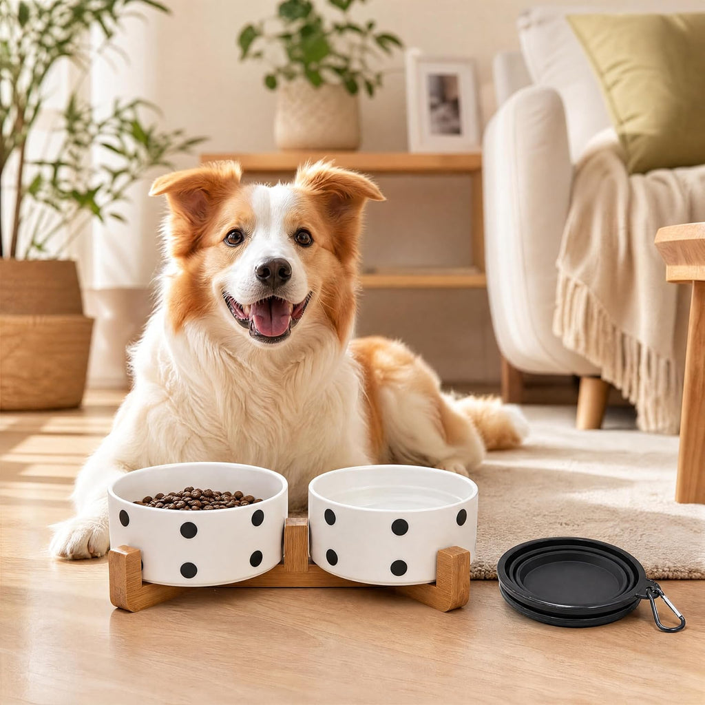 Petygooing Ceramic Dog Bowl Set with Stand,Cat Pet Food and Water Dishes,Small Dog Bowls Anti -Slip Set of 2 Cat Bowls Pet Food Dish Small Size Pet (13.5OZ/5.1 in) Black Dot