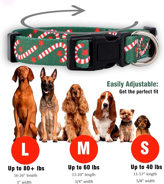 Native Pup Christmas Dog Collar- Winter Holiday Collars for Pets- Xmas Gift for Puppy- Santa, Reindeer, Snowman, Candy Cane, Red Green- Girl Boy- Small, Medium, Large Breeds (Candy Cane, Large)