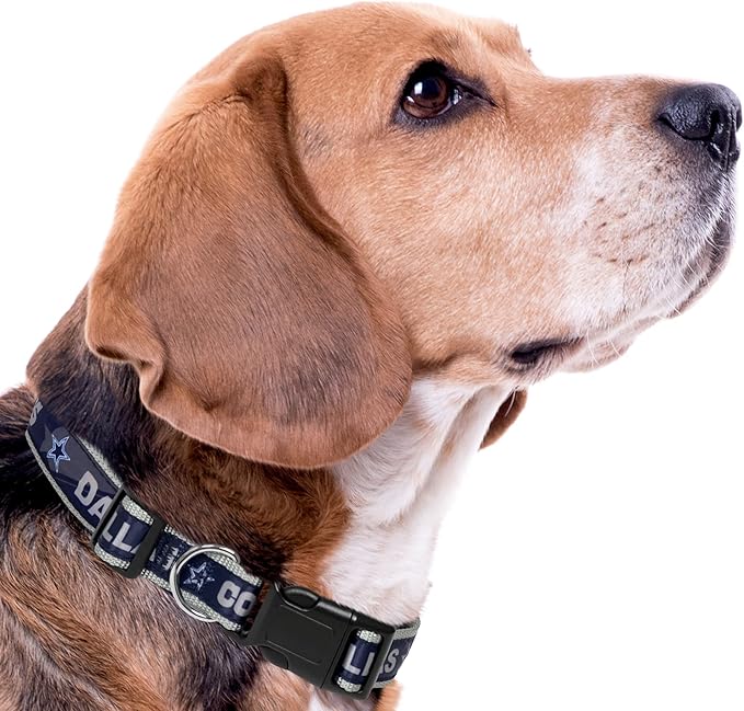 Dallas Cowboys NFL Dog & Cat Collar - Large, Shiny & Colorful, Licensed by The NFL