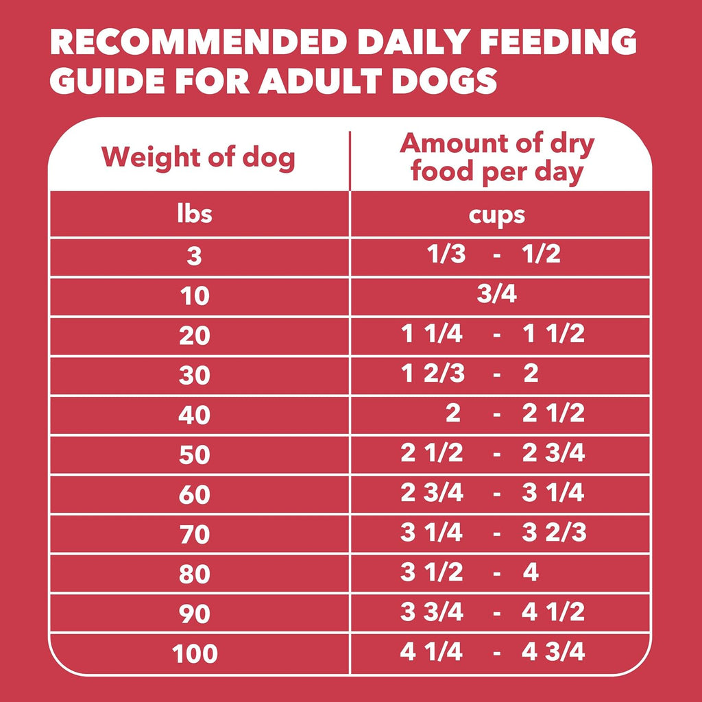 IAMS Proactive Health Minichunks Dry Dog Food, Lamb & Rice, 30 lb | Real Lamb #1 Ingredient, Omega-6 Fatty Acids for Skin & Coat, Natural Fiber & Prebiotics, No Fillers or Artificial Flavors